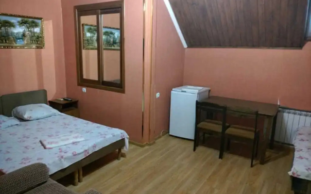 Guest house on Shevchenko 224 A