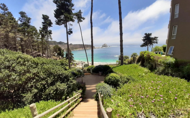 Pinares del Canelillo