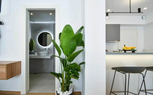 Luxury Downtown Apartment C1