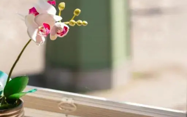 Silbernagel Apartment