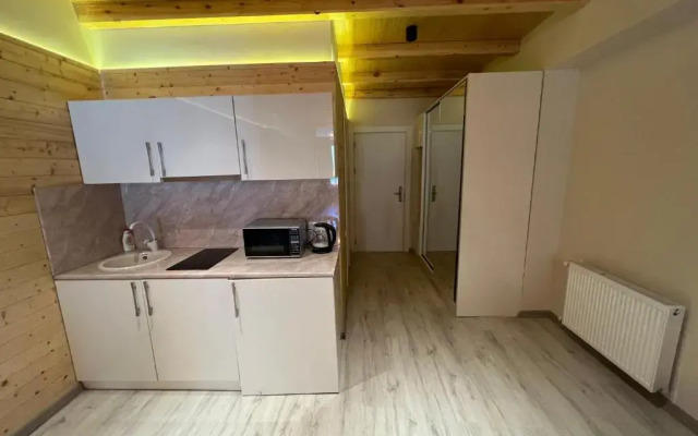 RedHubCo New Gudauri Suites 311