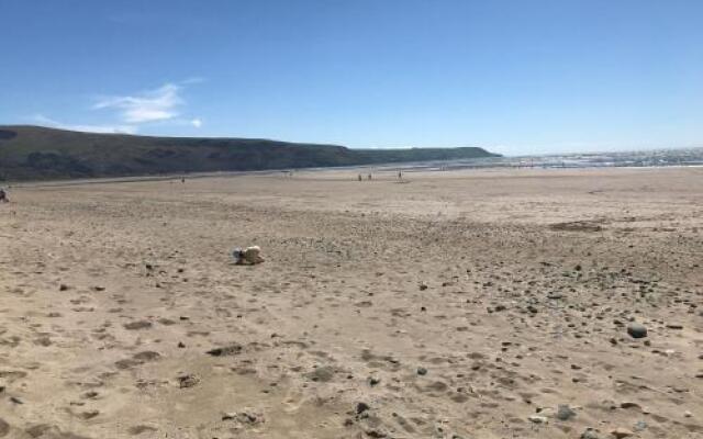 The Sandpiper