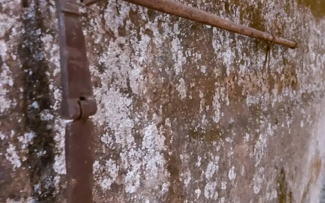 Sogno e Luce di Rosalia