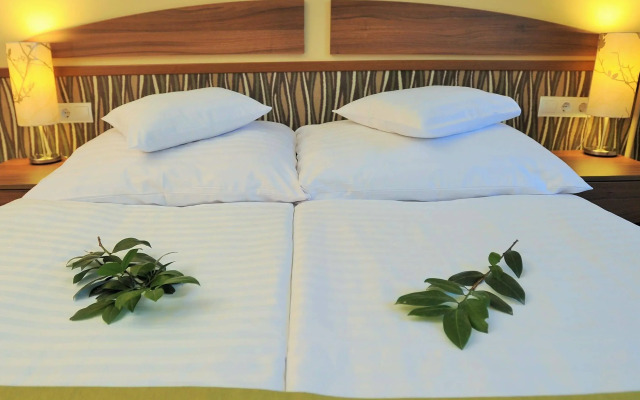Park Hotel Gyula