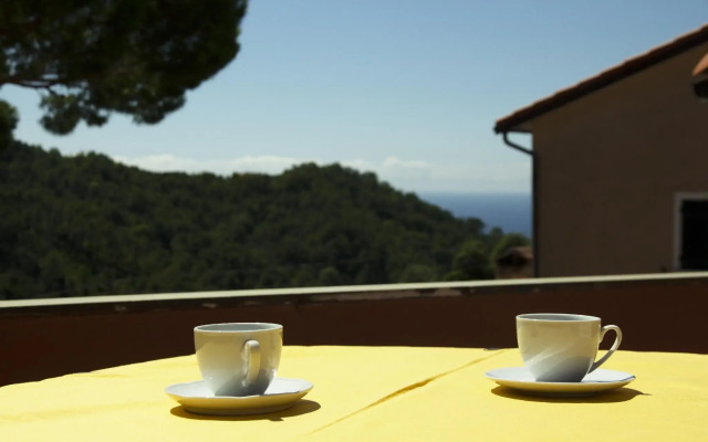 Nonna Maria, tra mare e ulivi