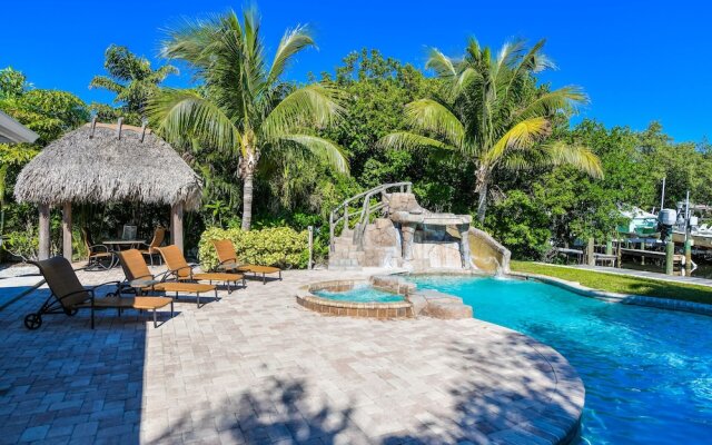 Nautilus by RedAwning