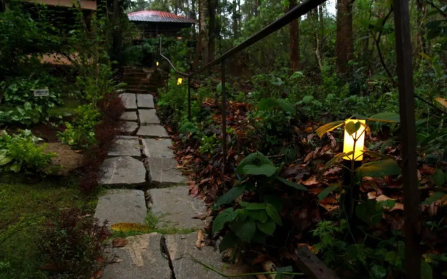 Jungle Retreat Wayanad
