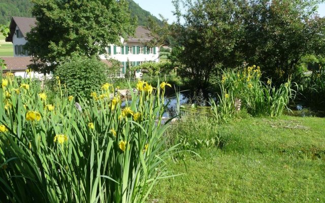 Gästehaus zum Tulpenbaum GmbH