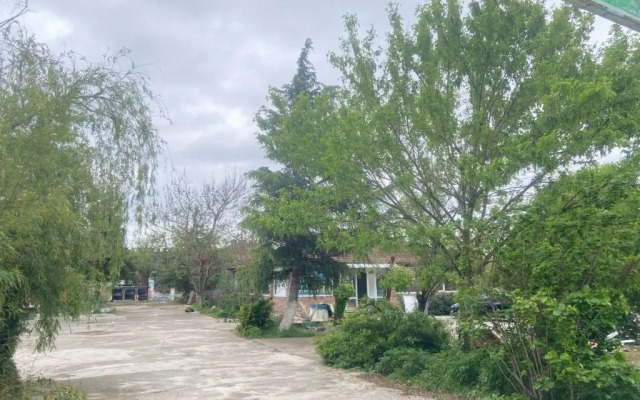 kopitnari