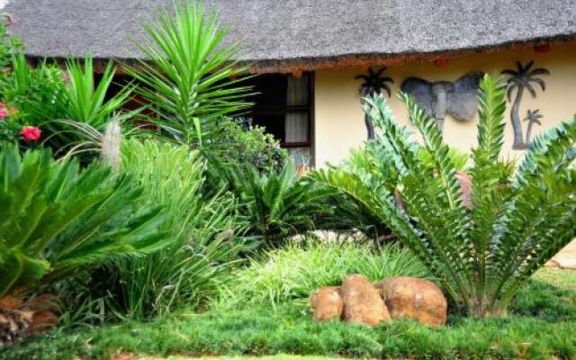 Palmwag Tzaneen