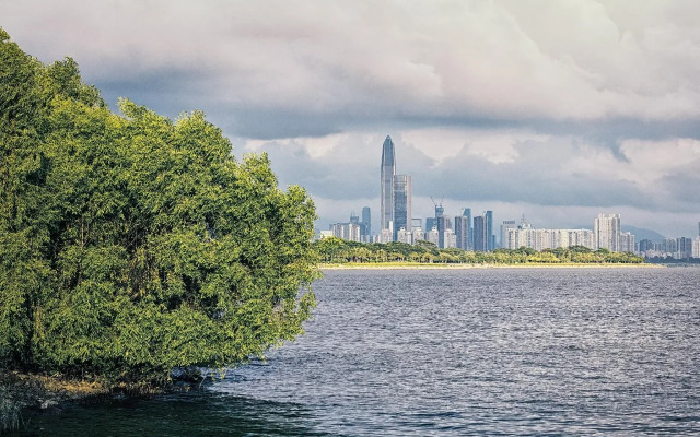 Yuan Hotel Shenzhen Science Park Branch