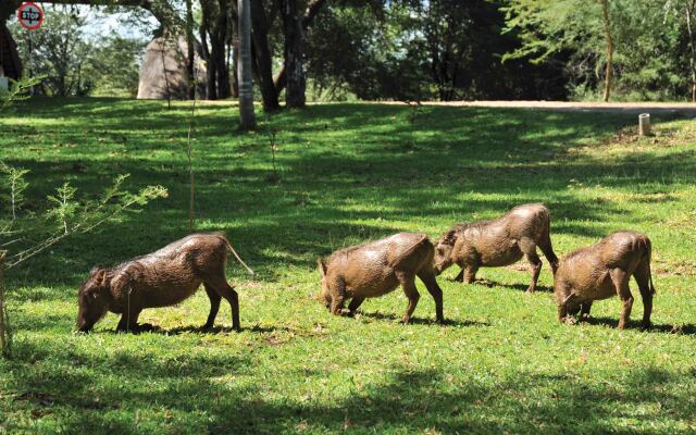 Lokuthula Lodges