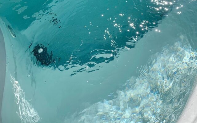 Horsin Around Tennessee