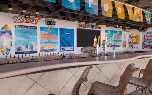 Winter the Dolphins Beach Club, Ascend Hotel Collection