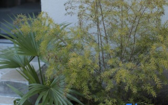 SEEYOO Ceramic Art House