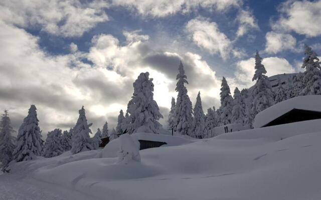 Schwaiger Alpen-Ferienwohnung