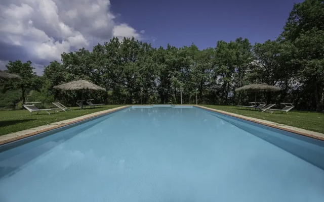 Belvedere