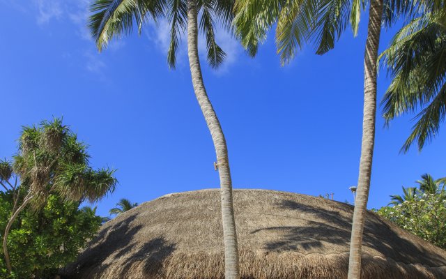 Kuramathi Maldives