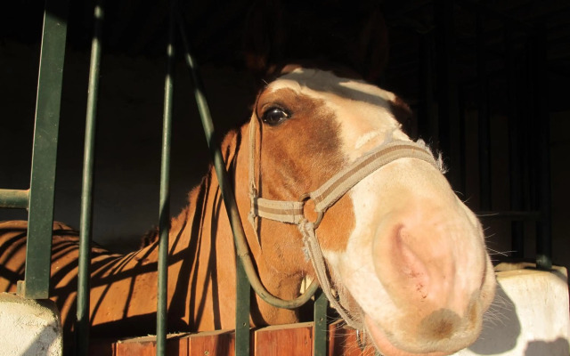 Quinta Vita - Vila Uva