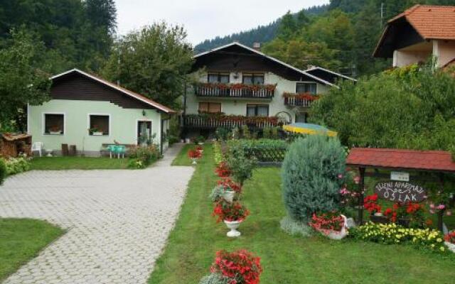 Zeleni apartma Zreče