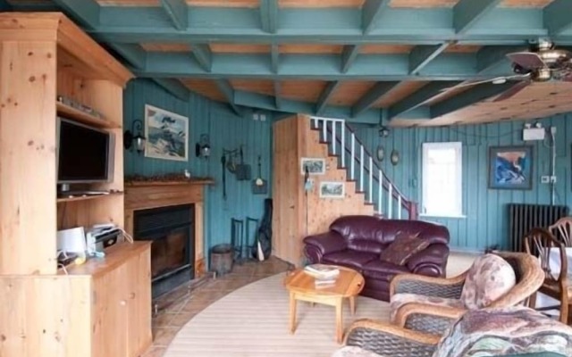 Windswept on the Trent