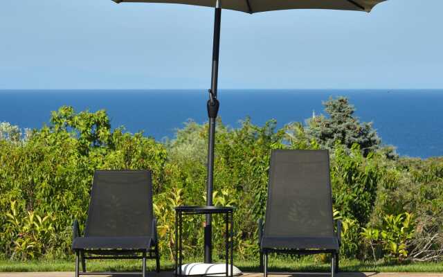 Olive All-Seasons Suites
