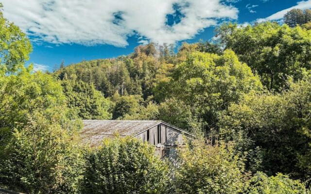 Ruhiges Apartment in Schwalefeld mit Garten