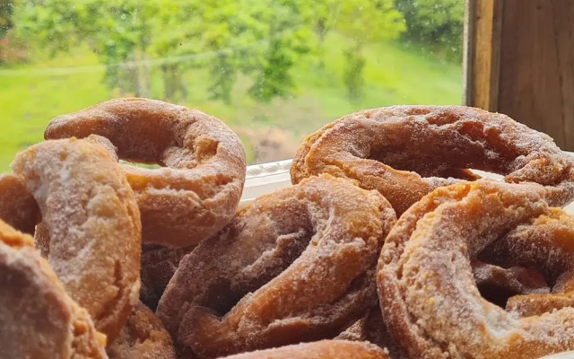 El Bosque de las Viñas