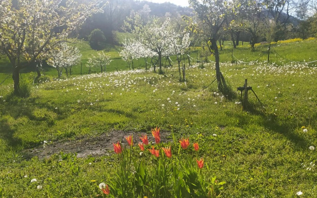 Un posto speciale. La Quagnola