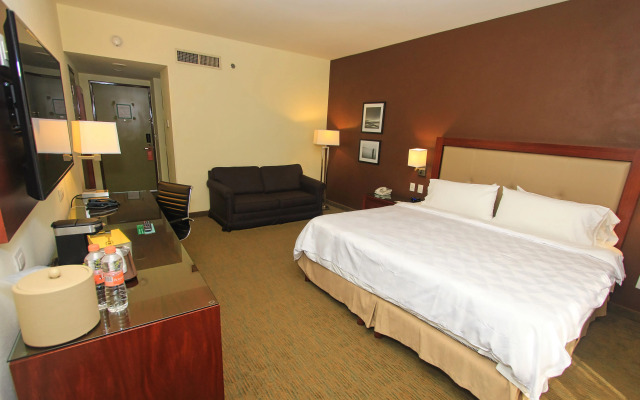 Holiday Inn Leon by IHG