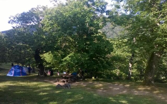 Camping Camaldoli