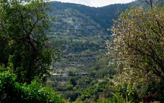 The Old Olive Mill House by TrulyCyprus