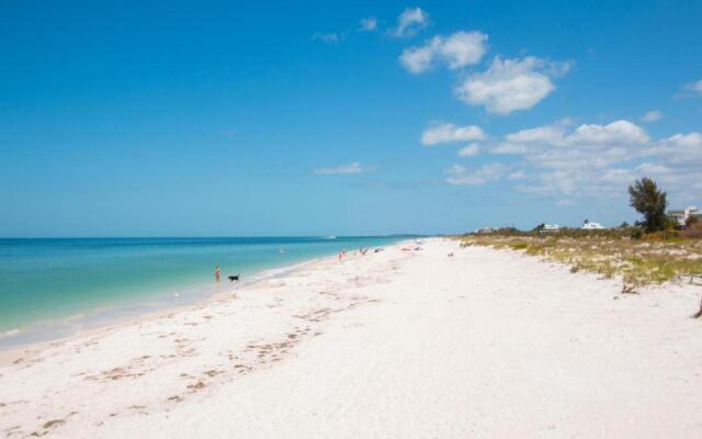 Gone Beaching 202