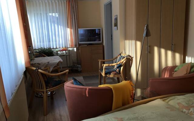 Charming Apartment in Ilmenau With Sauna