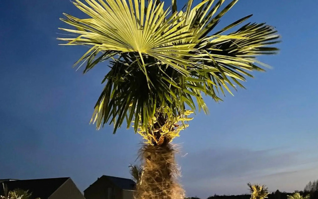 Palmes.pirmas.sezonas