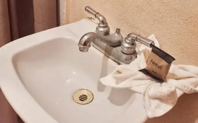 La Gran Mosca Verde Hostel