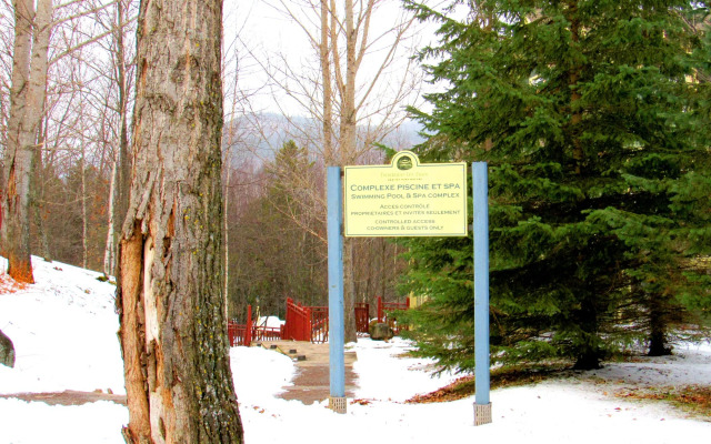 Tremblant les Eaux by Les Suites