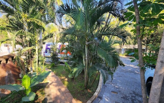 Casa Palmeira Guesthouse