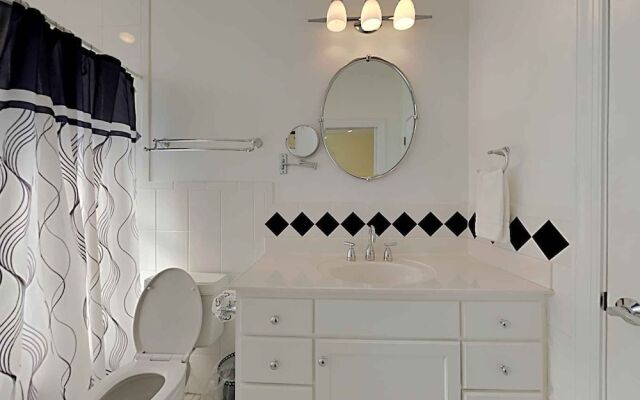 Lazy Urchin Seaclusion