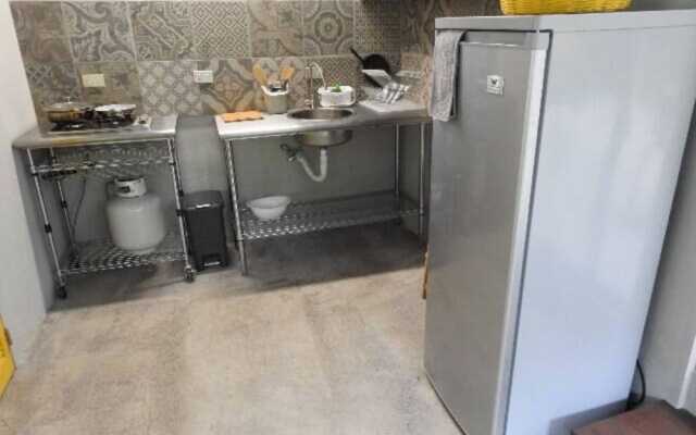 Relaxing Sound of River Birds Squirrels