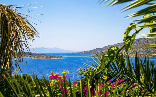 Sound of Silence Suite