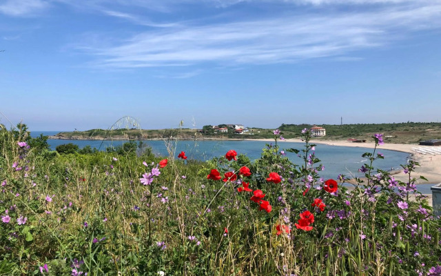 Апартамент 10