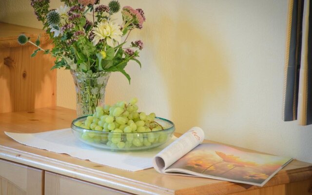 Ferienwohnungen Holzer