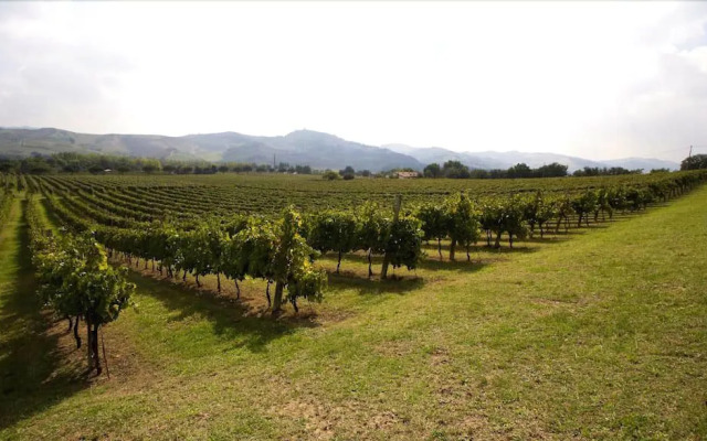 Verdidea - Podere la Casetta