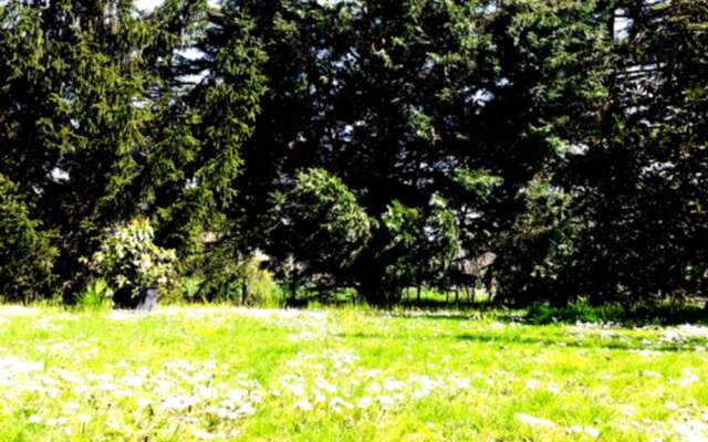 Agriturismo Corte Trincerone