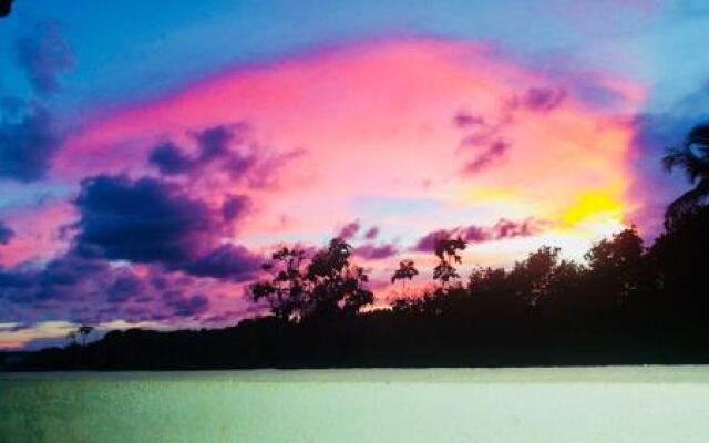 Amour Surf