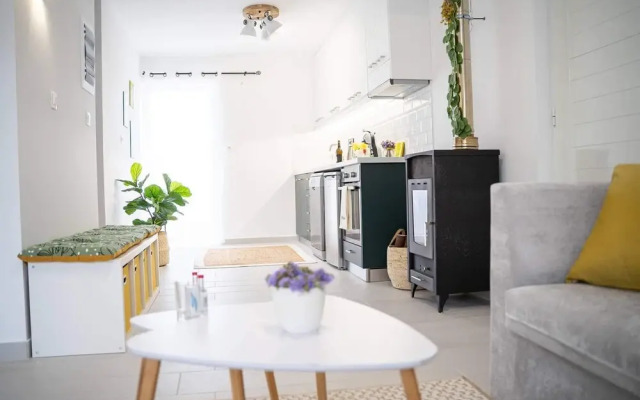 2 Bedroom Apartment Lambisea