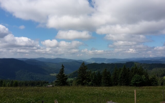 Hotel Gasthaus Hirschen