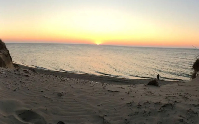 Black-headed Gull Comfortable Holiday Residence