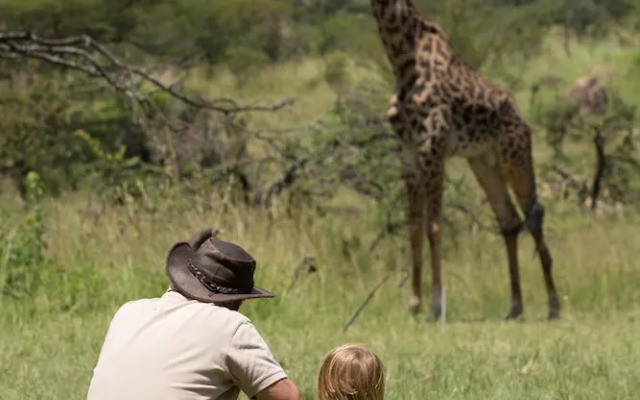 Elewana Serengeti Migration Camp
